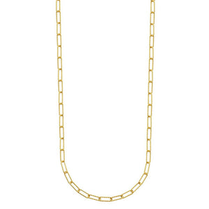 Charles Garnier Sterling Silver Necklace made with Diamond Cut Paperclip Chain (3mm) Measures 24'' Long 18K Yellow Gold Finish